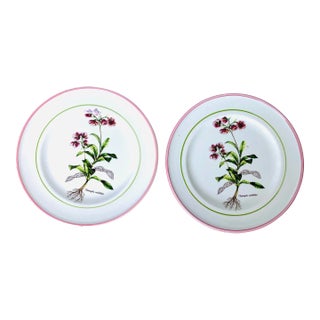 Vintage Primula Italian Pottery "Chimapila Umbellata" Plates- Set of 2 For Sale
