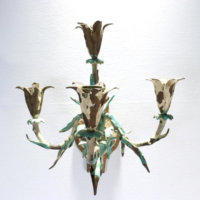A fine pair of Edwardian bronze wall sconces. Each with 4 lights. Each arm in the form of a stems topped with flower-form...