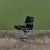 Metal Eames Soft Pad Management Chair for Herman Miller For Sale - Image 7 of 18