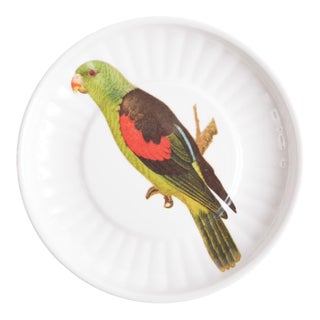Parrot Small Paper Plates Melamine, Set of 4 For Sale