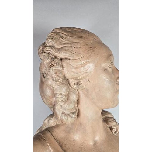 19th Century 19th Century Terracotta Bust of Madame du Barry For Sale - Image 5 of 9