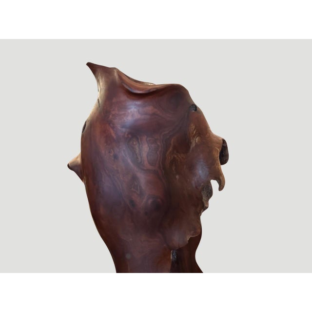 Andrianna Shamaris Ancient Wood Torso For Sale - Image 12 of 18