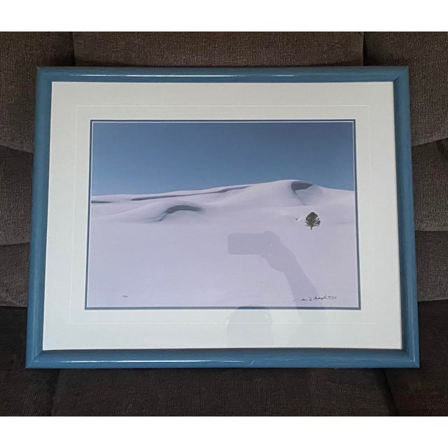 Contemporary 1990s Thomas Mangelsen Signed First Crossing Hayden Valley Photo Yellowstone Art 45/950 For Sale - Image 3 of 9