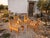 Beige Vintage Brutalist Wooden Armchairs, 1960s, Set of 4 For Sale - Image 8 of 8