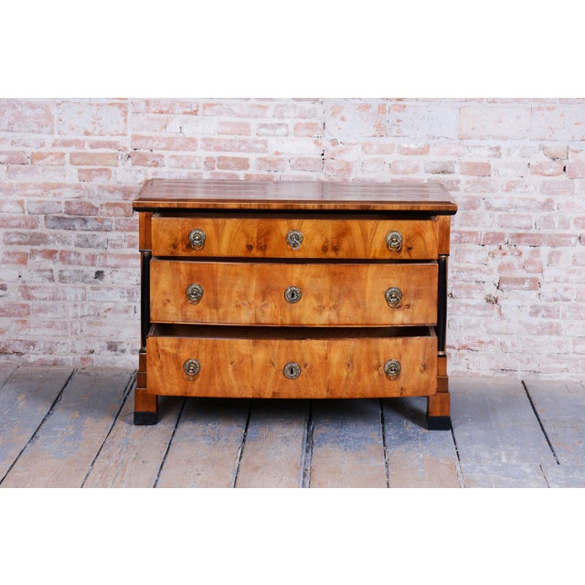 Empire Chest of Drawers in Walnut, 1820s For Sale - Image 16 of 18
