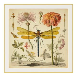 30 X 30' 'Dragonfly and Flowers' # 7 - Original Botanical Print in High-End Custom Gilt Wood Frame - Hortus Floridus Style For Sale