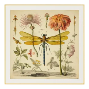 30 X 30' 'Dragonfly and Flowers' # 7 - Original Botanical Print in High-End Custom Gilt Wood Frame - Hortus Floridus Style