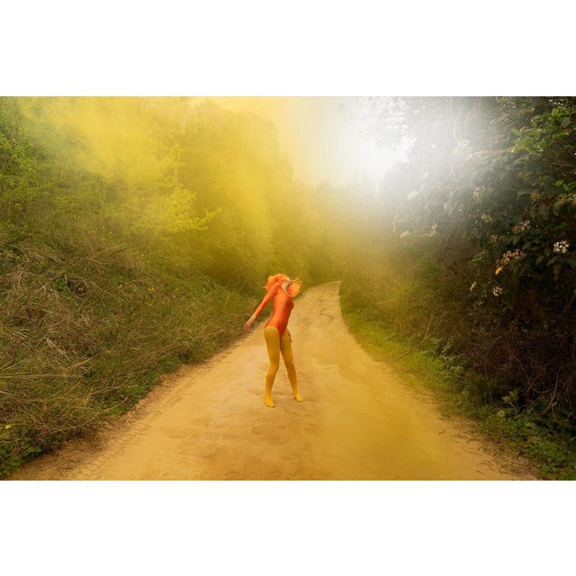 Not Yet Made - Made To Order Carla Sutera Sardo, Dancing on the Colors, 2022, Photographic Print For Sale - Image 5 of 5