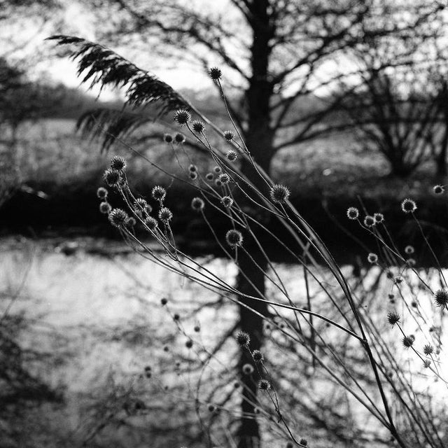 Not Yet Made - Made To Order Paul Cooklin, Alder Carr, Edition of 50 For Sale - Image 5 of 5