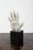 1950s Hand Study in Plaster For Sale - Image 5 of 8
