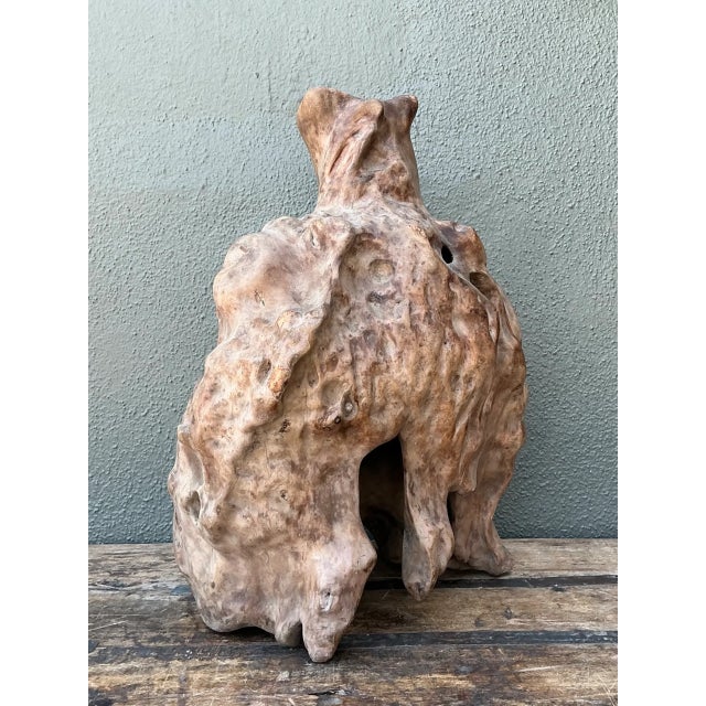 Contemporary Vintage Organic Wood Knot Sculpture For Sale - Image 3 of 12