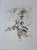 Claude Weisbuch, The Horseman, Engraving For Sale - Image 6 of 6