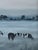 Modernist 'Friesians in the Mist' Vintage Original Landscape Oil Painting, Framed For Sale - Image 9 of 13