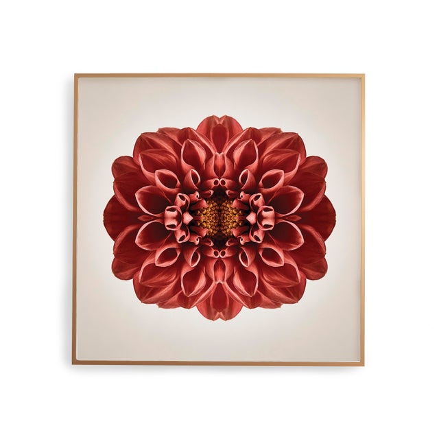 This print features the playful relationship between natural forms and botanicals. In this image Erin uses the natural...