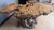 Handcrafted Burlwood Table - One of a Kind Statement Piece For Sale - Image 9 of 11