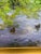 Design Plus Gallery presents an Original and Framed Oil Painting, "Ducks by Willow Pond", by Gary David Hoffman. The...