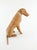 Coastal Large 27" Life-Size Hand-Woven Wicker Airedale Terrier Sculpture — Made in the Philippines For Sale - Image 3 of 12
