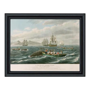 A Shoal of Sperm Whale Reproduction Print Behind Glass in Black Solid Wood Frame- 11x14" Print, 12-3/4" X 15-3/4" Framed