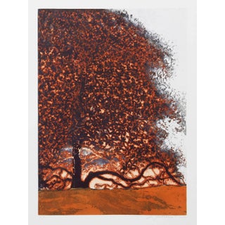 Autumn Trees, Yarborough Aquatint For Sale