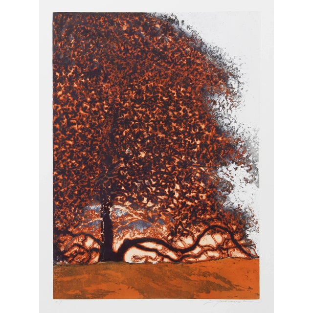 Autumn Trees, Yarborough Aquatint For Sale