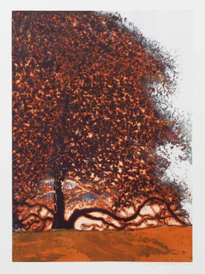 Autumn Trees, Yarborough Aquatint