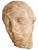 Antique Life-Size Stone Head, 1900 For Sale - Image 3 of 9