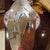 English Sterling Fish Saucer Dimensions: 12 1/2" x 3"
