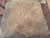 1970s Vintage Wheeled Cane Back Chair For Sale - Image 12 of 13