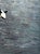 2010s Alex Paulus “Be dazzled” Colorful Contemporary Ocean Seascape Painting of a Jumping Orca, 2013 For Sale - Image 5 of 8