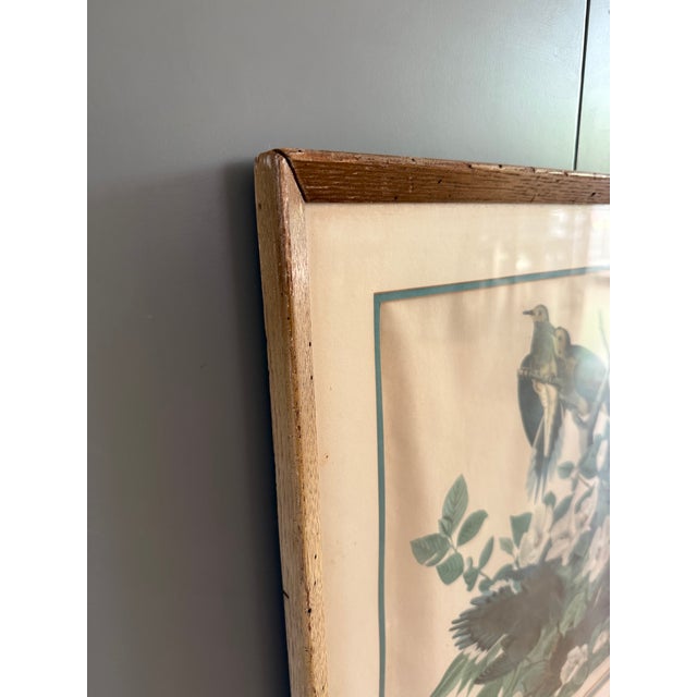 Pair of Vintage Framed Bird Illustration Lithographs by John James Audubon For Sale - Image 15 of 16