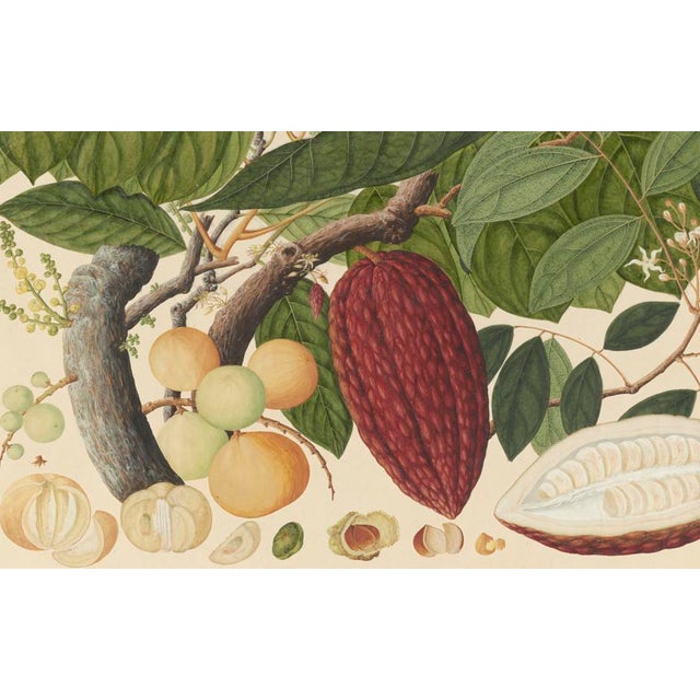 Golden Tropic Botanicals #7/22. beautifully reproduced as giclée prints using archival inks on imported English cotton rag...