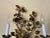 Italian Hollywood Regency Gold Leave Iron Sconces - a Pair For Sale In Miami - Image 6 of 11