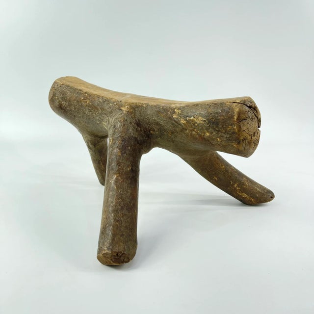 The Dinka people (Dinka: JiÉÌÉÌÅ) are a Nilotic ethnic group indigenous to South Sudan. They primarily inhabit the...