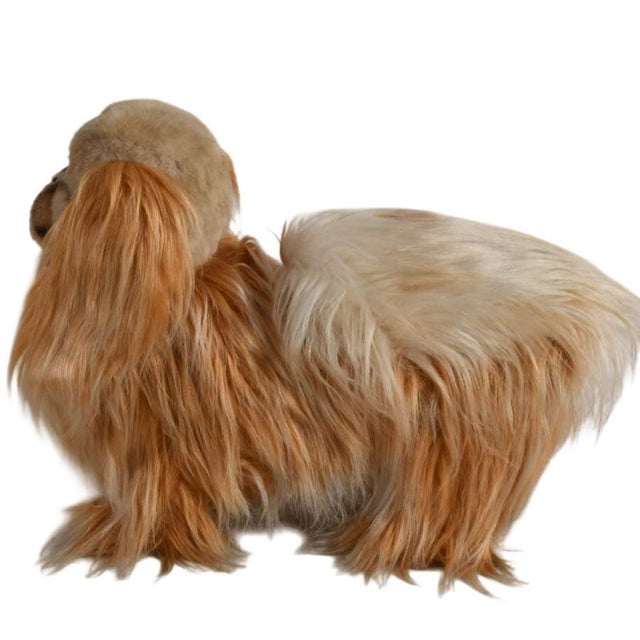 Mid-Century Steiff Studio Size Pekinese Store Display Model, Made in Germany For Sale - Image 4 of 8