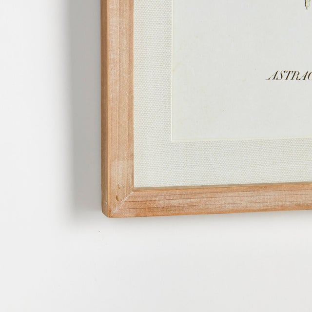 This set of coordinating yellow blooms is a traditional collection. Finished off with simple,Whitewashed wood frames, and...