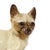 Siamese Cat Figurines in Glazed Ceramic, Japan, 1950s, Set of 2 For Sale - Image 11 of 14