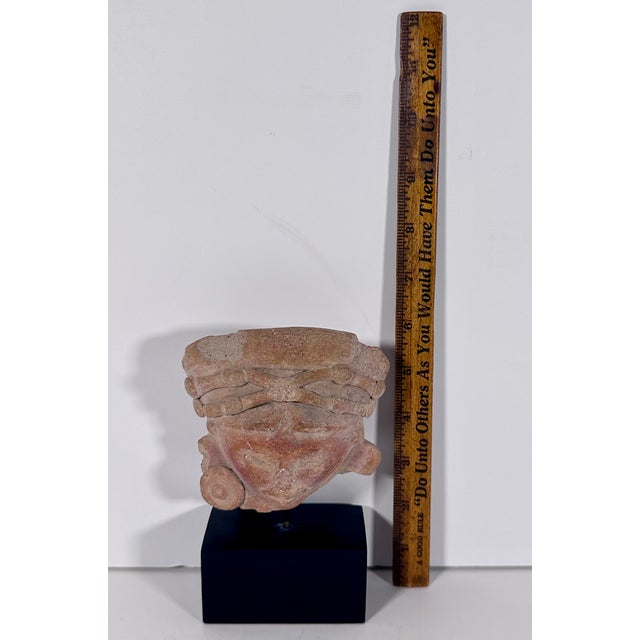 Pre-Columbian Jamacoaque Terracotta Head Fragment For Sale - Image 12 of 15