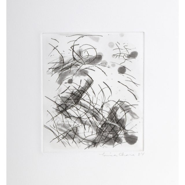 Paper Louisa Chase, a Portfolio of Six Etchings For Sale - Image 7 of 10
