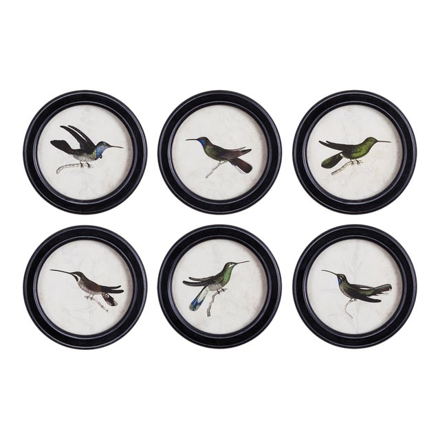Hummingbird Round Petite Prints, Set Of 6 For Sale