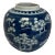 19th Century Chinese Blue and White Prunus Hawthorn Porcelain Ginger Jar Kangxi Mark For Sale