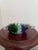 Late 20th Century VTG Hand Blown Murano Style Glass Large Colorful Striped Fish Figurine Sculpture For Sale - Image 5 of 8