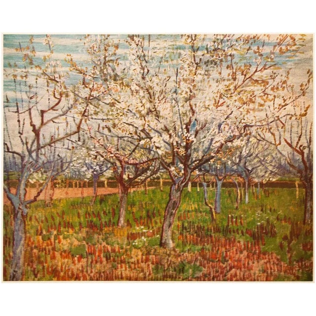 1950s After Vincent Van Gogh "The Orchard", First Edition Vintage Print For Sale In Dallas - Image 6 of 8