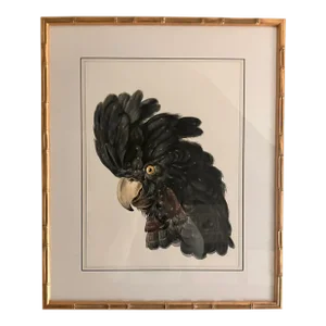 Black Cockatoo Bird Portrait Print in Gold Faux Bamboo Frame