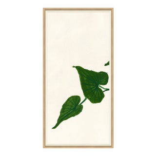 Ivy I Framed Art Print by Susan Hable For Sale