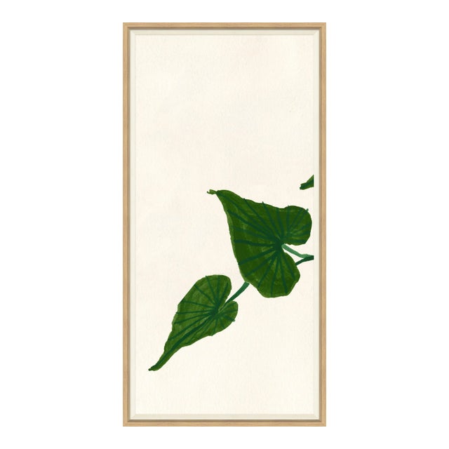 Ivy I Framed Art Print by Susan Hable For Sale