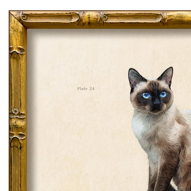 Various Artists Reproduction Art Print of Vintage “Le Chat" Illustration (Cat 2), Framed For Sale - Image 4 of 4