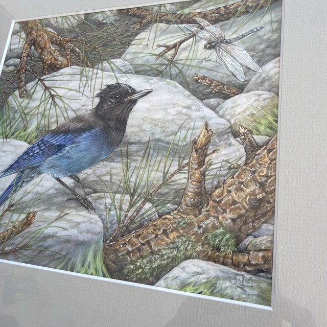 1990s 1990s Jane Maday Original Signed Watercolor Steller's Jay Poudre Canyon Framed For Sale - Image 5 of 14