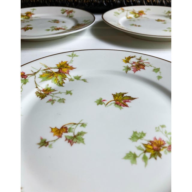 Haviland & Co. Mid 20th Century Haviland Limoges Autumn Leaf Salad Plates - Set of 6 For Sale - Image 4 of 7