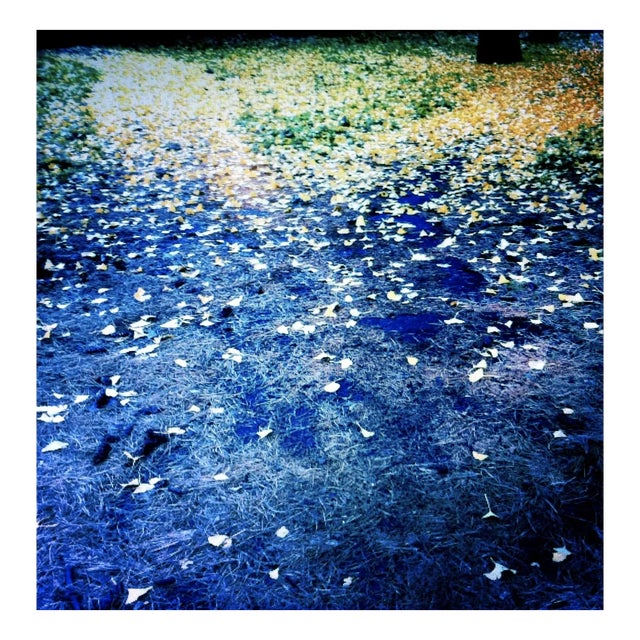 Contemporary Impressionist Landscape Photograph, New York City For Sale