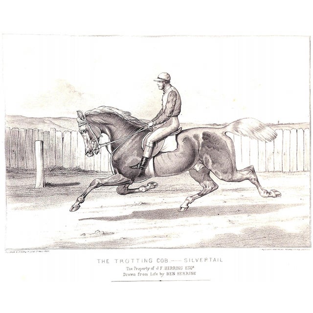 "The Book of Field Sports and Library of Veterinary Knowledge: Volumes I & Ii" 1870 Miles, Henry Downes [Edited By] For Sale - Image 16 of 18